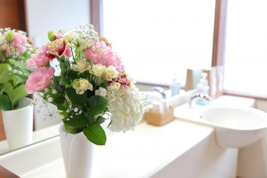 ホワイトエッセンス 出雲の写真 4