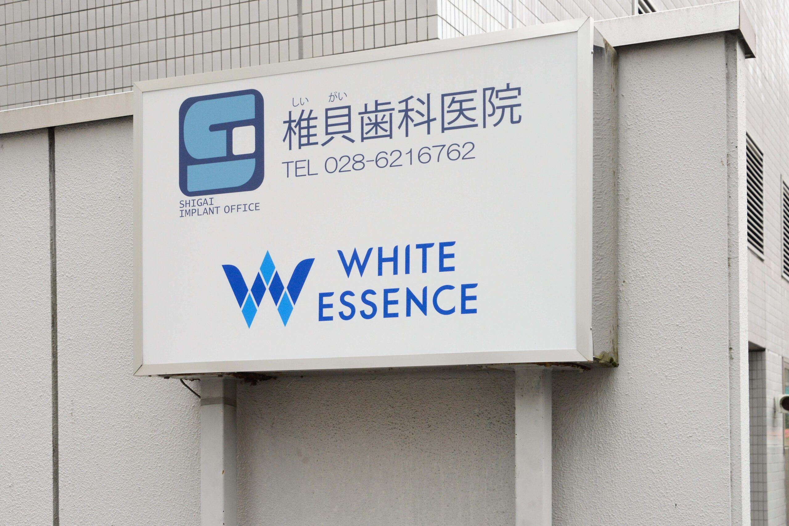 ホワイトエッセンス 宇都宮中央の写真 7