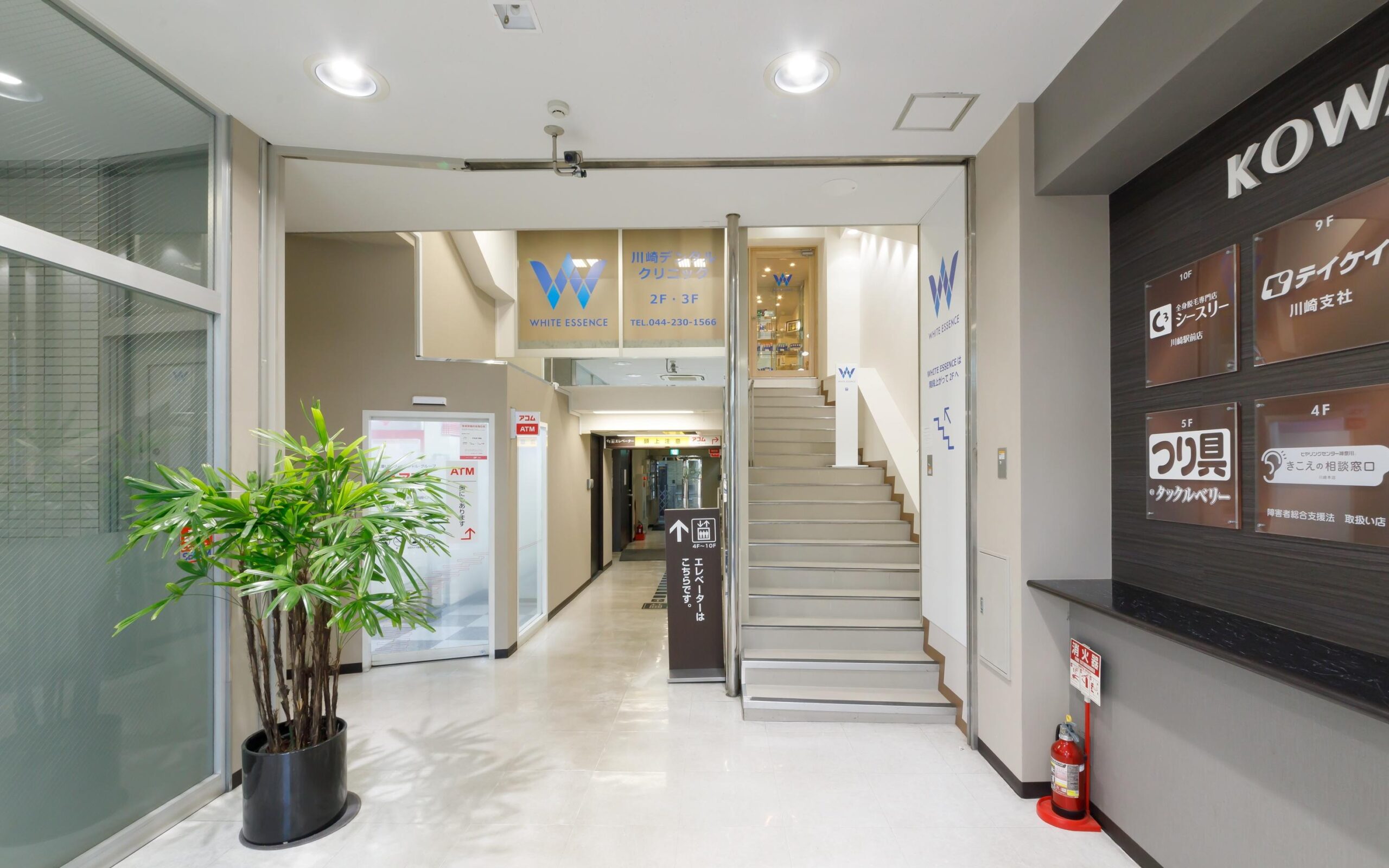 ホワイトエッセンス 川崎の写真 4