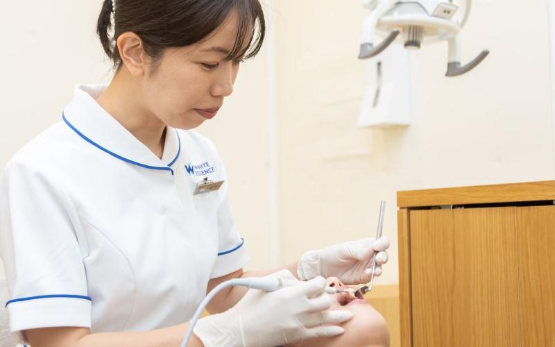 ホワイトエッセンス 帯広の写真 4