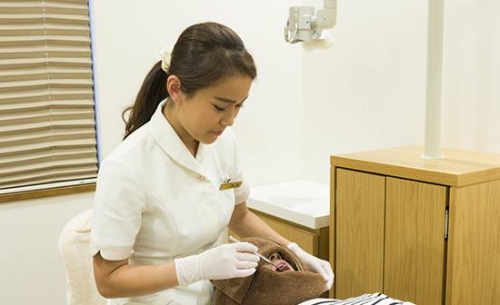 ホワイトエッセンス 平塚海岸の写真 6