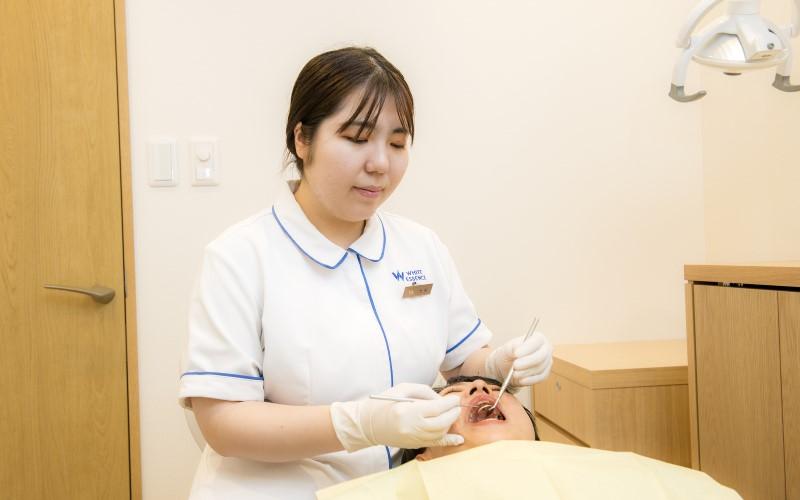 ホワイトエッセンス 広島下祇園の写真 8