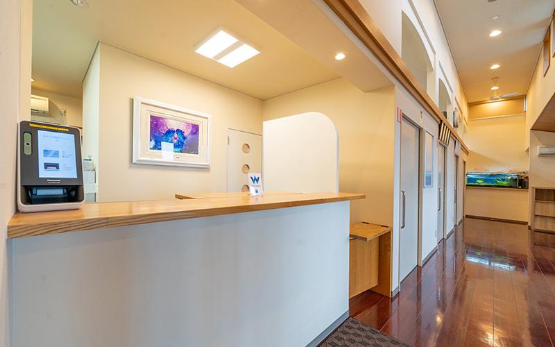 ホワイトエッセンス 延岡の写真 1