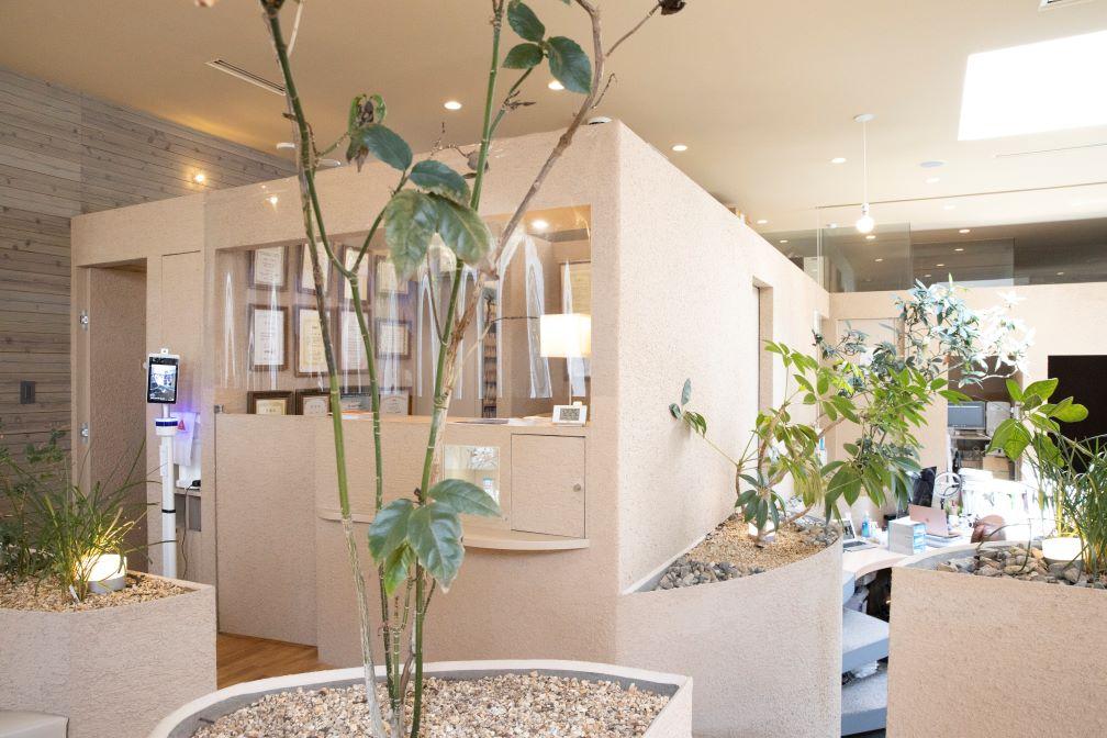 ホワイトエッセンス 松山椿の写真 1