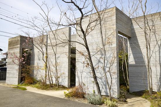 ホワイトエッセンス 松山椿の写真 4