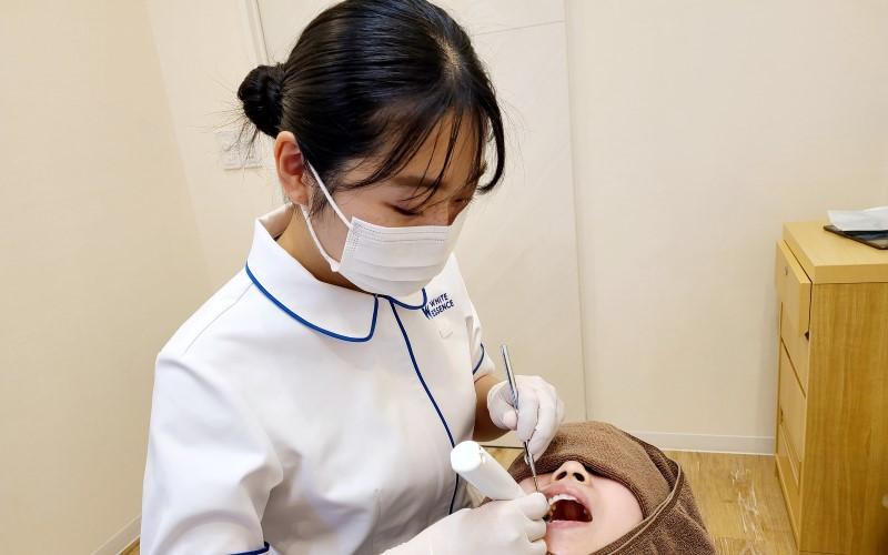 ホワイトエッセンス 浜松小豆餅の写真 4