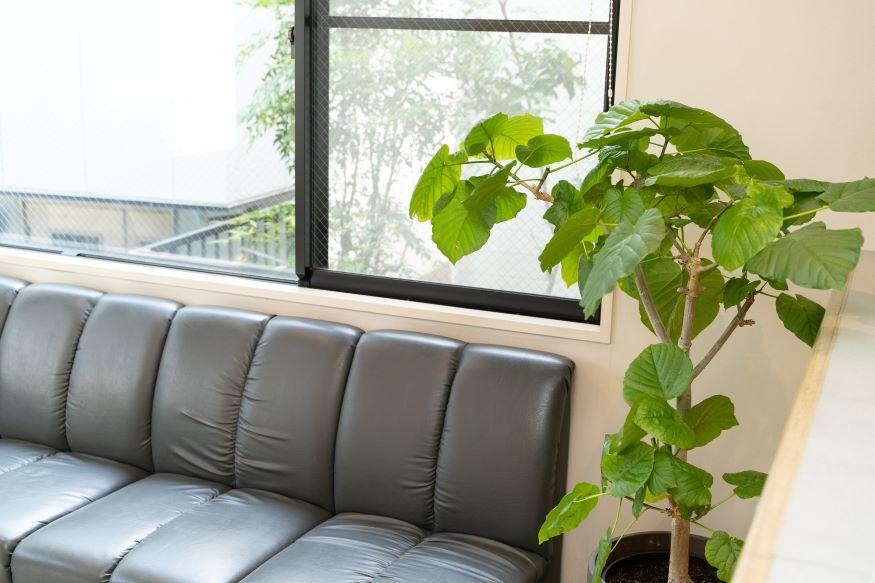 ホワイトエッセンス 阪神大石駅の写真 2