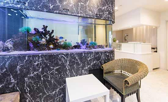 ホワイトエッセンス 香椎の写真 1