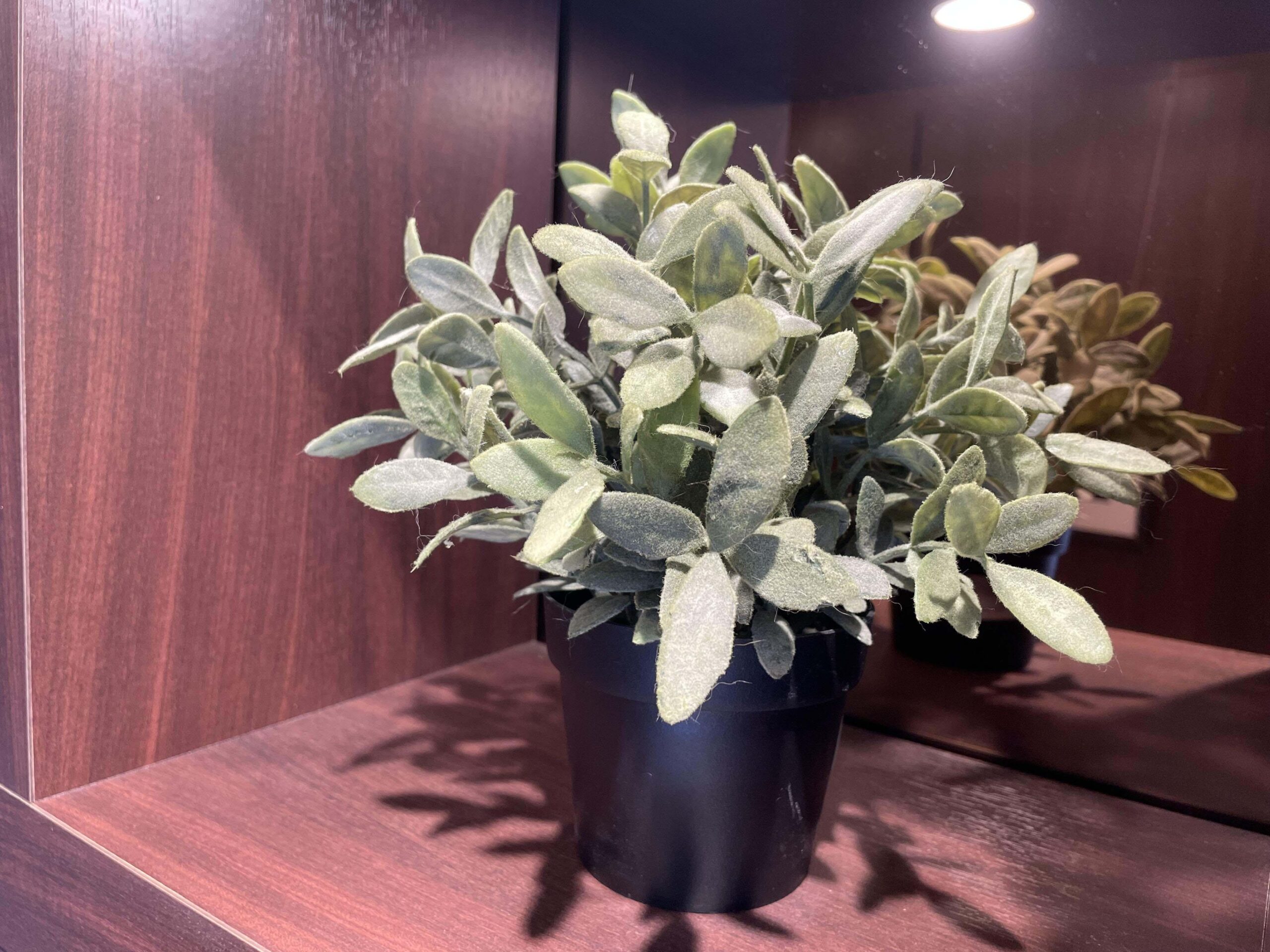 ホワイトエッセンス 馬車道の写真 3